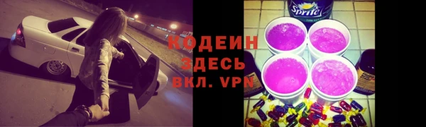 прущие грибы Богородицк