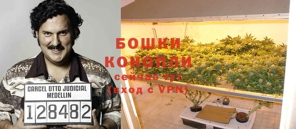 прущие грибы Богородицк